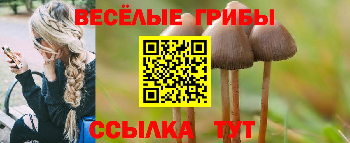 Псилоцибиновые грибы Psilocybine cubensis Ишимбай